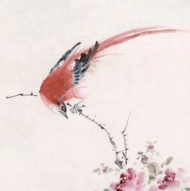 翻新♥宝宝的图片