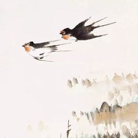 翻新♥宝宝的图片