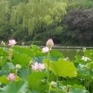 魏小林b海报
