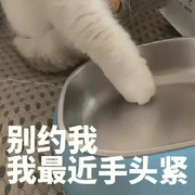 跑调大王🃏的头像