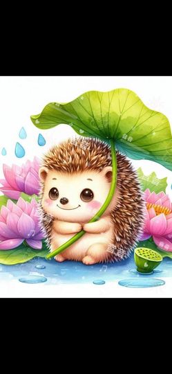 丑小鸭🌈万人迷眼睛主播照片