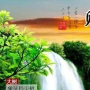 季节xg的头像
