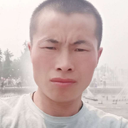 ぃ来自慕尼黑的寄生蜂