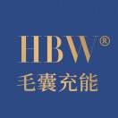 HBW毛囊充能