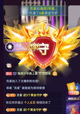 海鸽晚上见主播照片