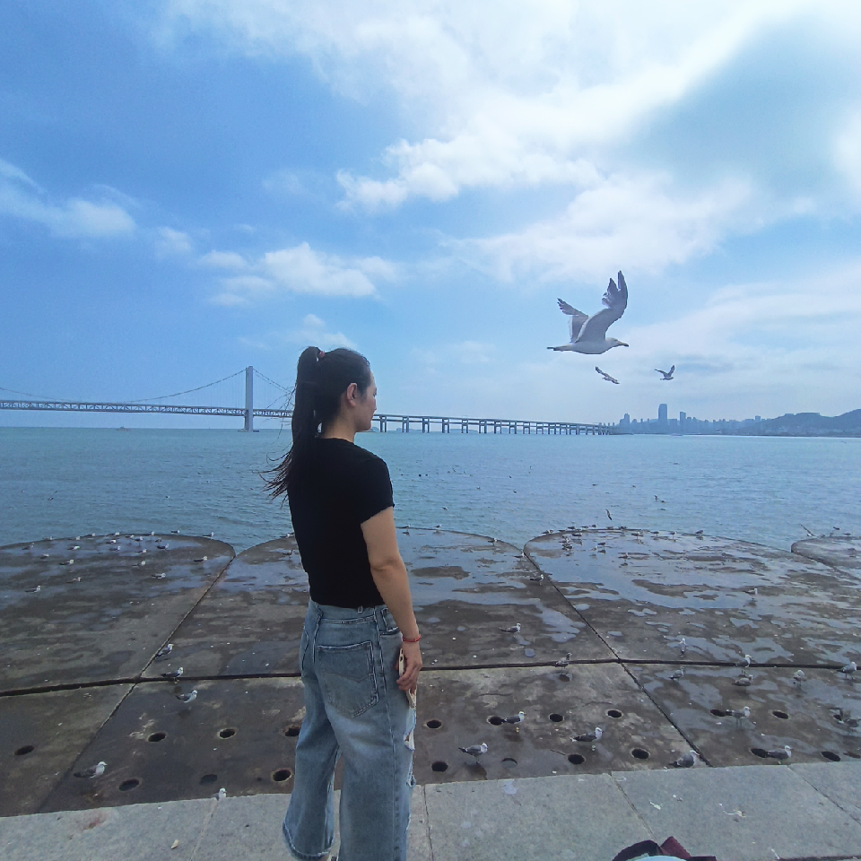 680emopv*$海报