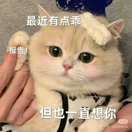 Wuli奶茶主播照片