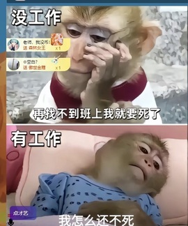 洁儿宝宝~主播照片