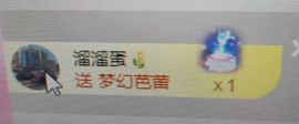 海鸽晚上见主播照片