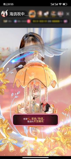 海鸽晚上见主播照片
