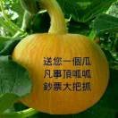 沉默zzv