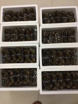 时间不需要你等的图片
