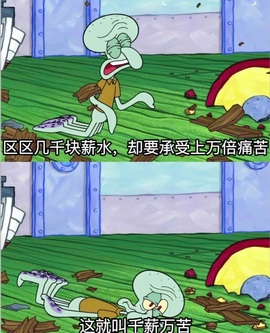 粉色玫瑰7的图片