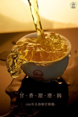 权威茶叶(天河店)主播照片