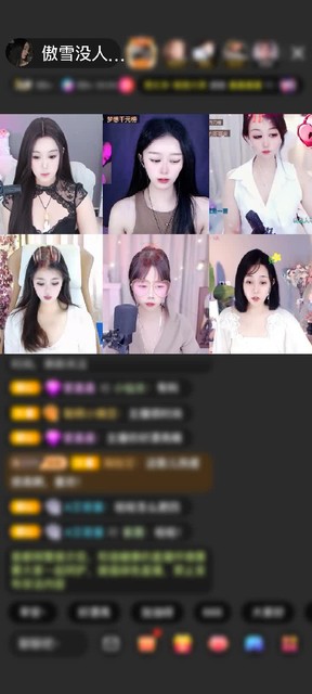 感谢至尊神秘人339赠送梦幻游乐园1个