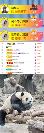 陈慧慧🥕早11晚8主播照片