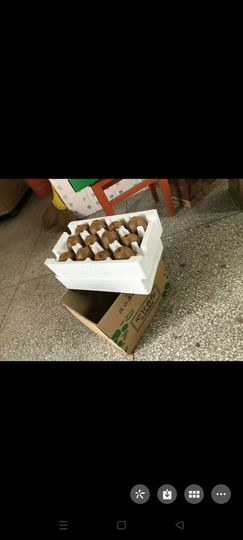 学尔思之主播照片