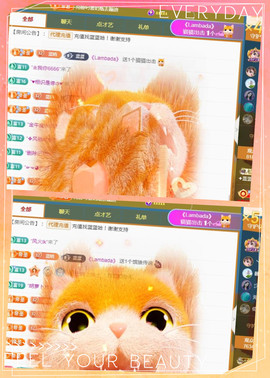 ✦蓝蓝✦休息主播照片