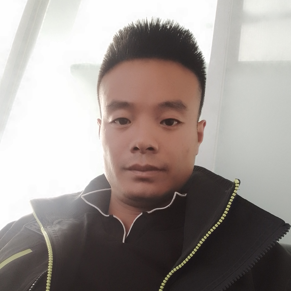 竹林里的疯狂海报