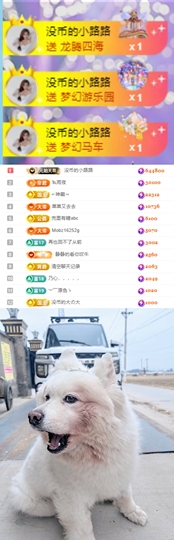 陈慧慧🥕早9晚8主播照片