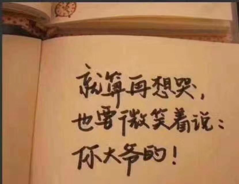 伐领仔打使不娱乐的图片