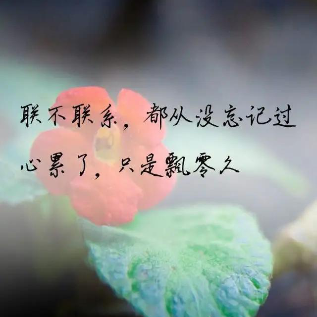 🫰为爱❤️停留🫰海报