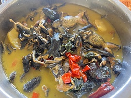 💦念初💫感恩大家主播照片