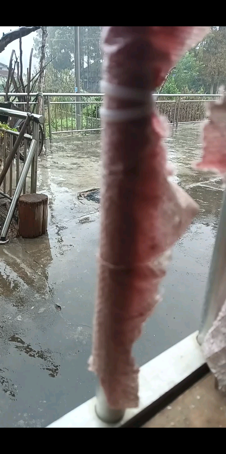 总算下雨了我滴乖乖