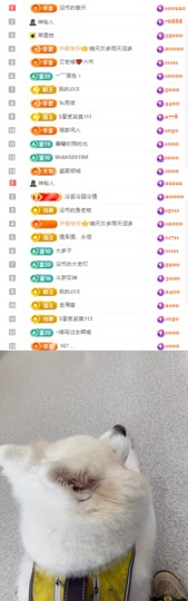 陈慧慧🥕早9晚8主播照片