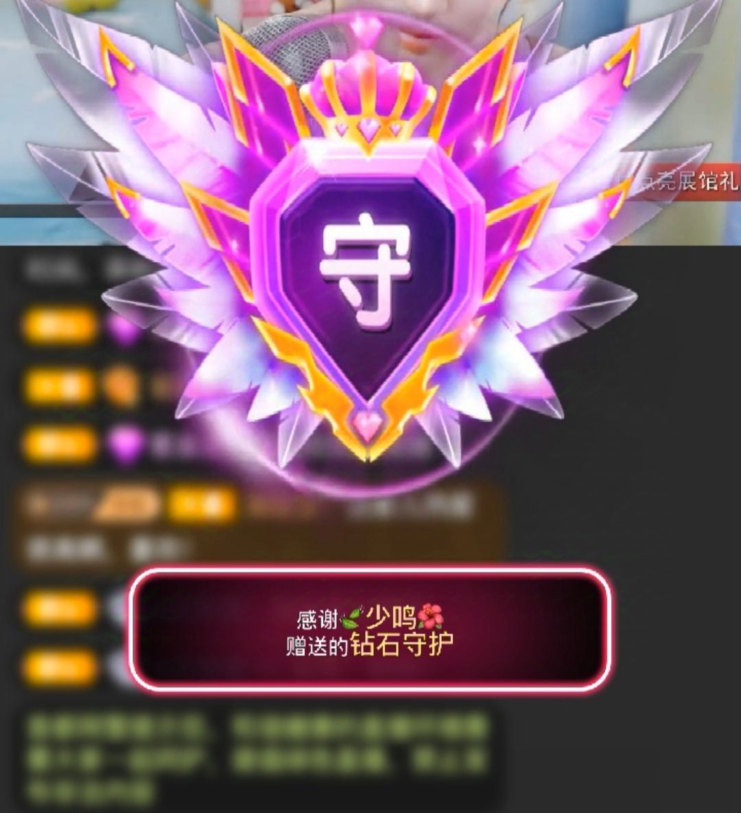 海鸽晚上见的图片