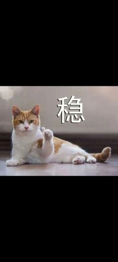 《加肥猫》主播照片