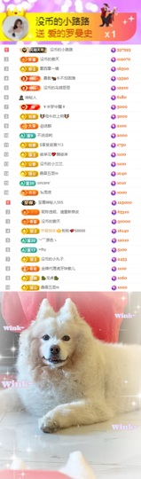 陈慧慧🥕早9晚8主播照片