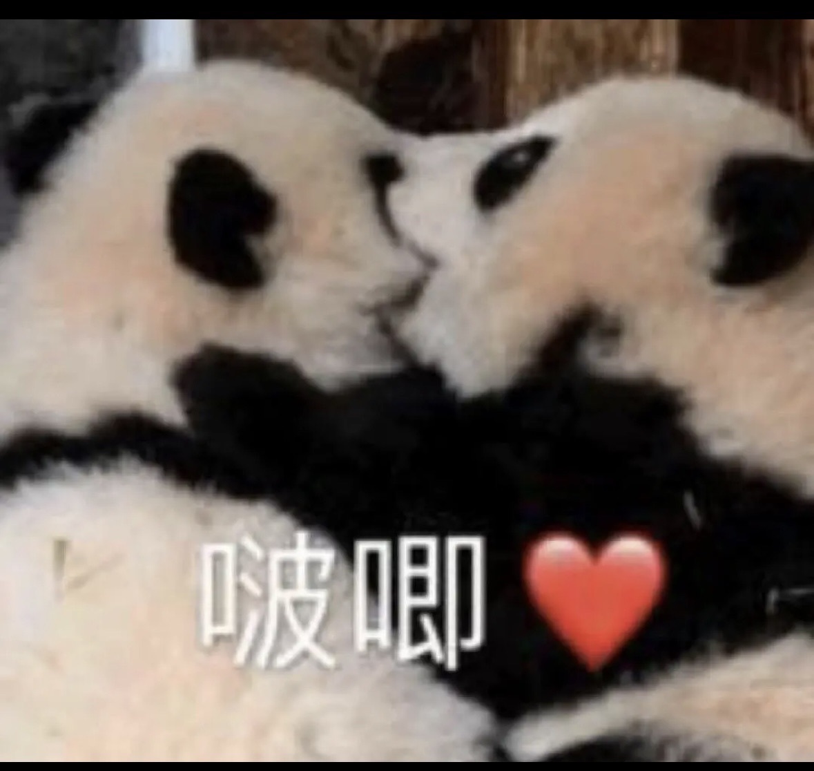 抱抱馨💌24号播主播图片