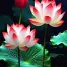 小刘