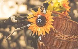 黄小仙贺低调哥升创世主播照片