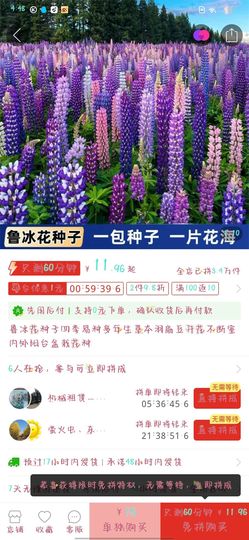 乖巧宝宝歌曲：凤凰飞主播照片