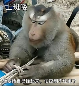 洁儿宝宝~主播照片