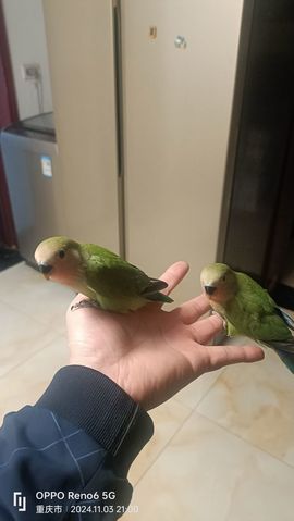 ❤᭄ꦿ柳💞逸❤᭄ꦿ的图片