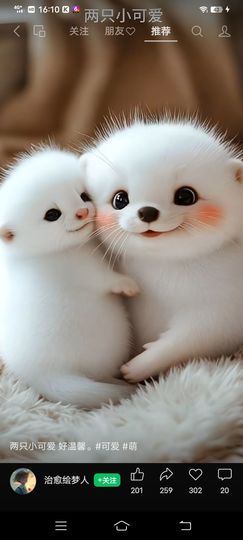 💗鎏💗龍的图片