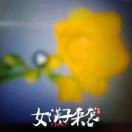 花好月圆cu*海报