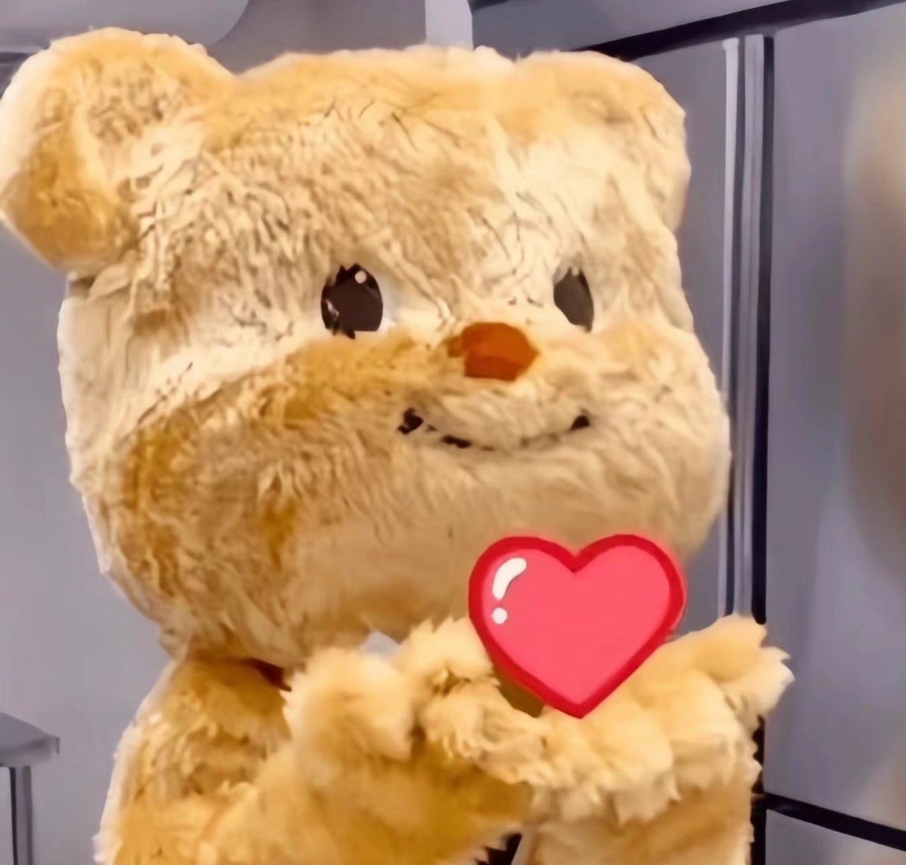 跑调嘉💟的图片