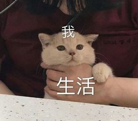 夏至🌸的图片