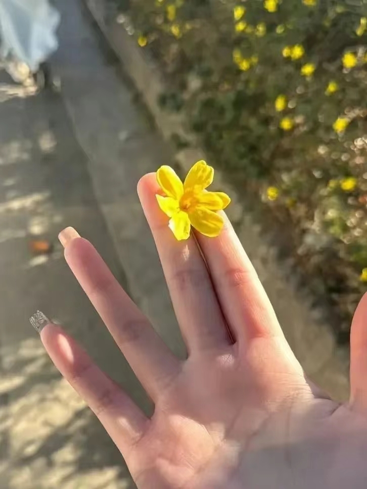 朵🍏朵太饿了！主播图片