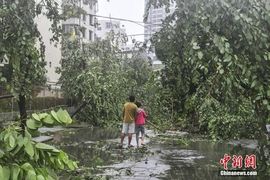 台风彩虹（超强台风）主播照片