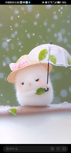 丑小鸭💞愿有一束光主播照片