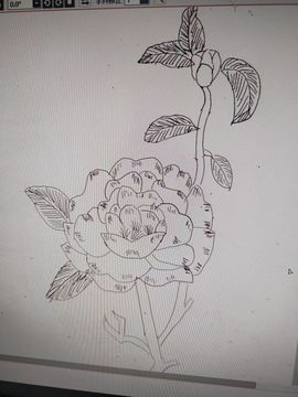 钟铃tina主播照片