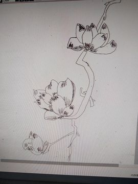 钟铃tina主播照片