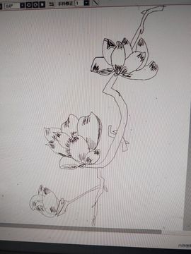 钟铃tina主播照片