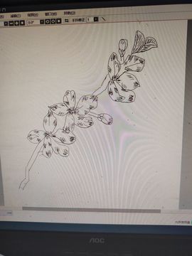 钟铃tina主播照片
