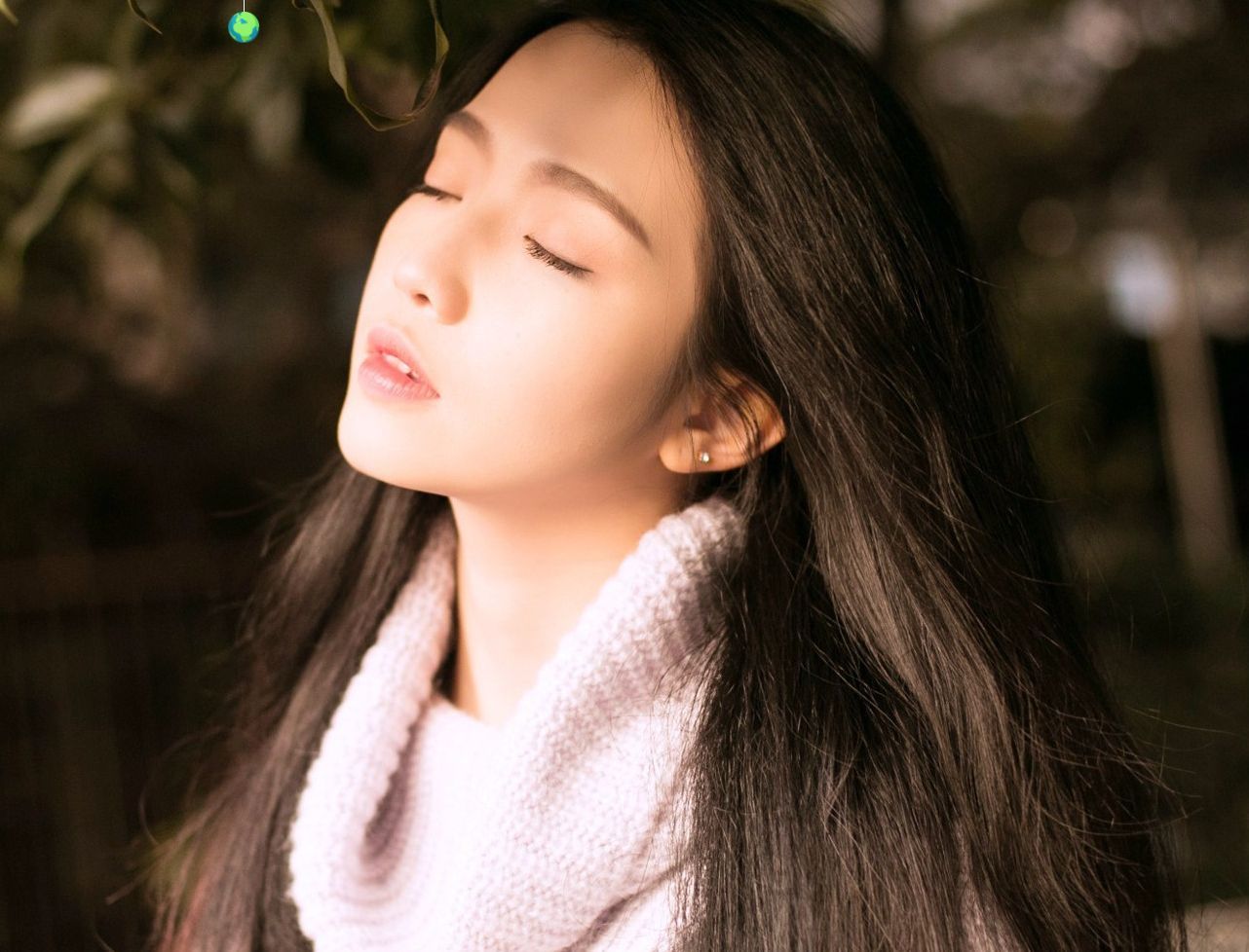 🦚没人在乎的雪儿的图片